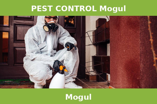 PEST CONTROL Mogul